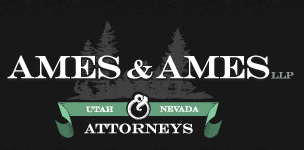 Tera K Andrews Ames -  Ames & Ames, LLP logo